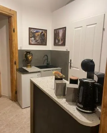 公寓 Family 克拉科夫